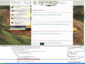 9f634-clip-317kb.JPG