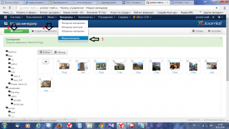 новые папки.png